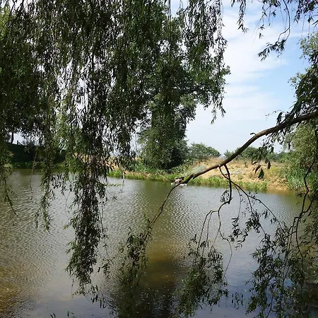 לינה וארוחת בוקר La Ferme Du Bascou