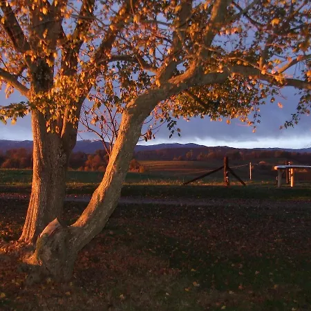 La Ferme Du Bascou 3* Madiere