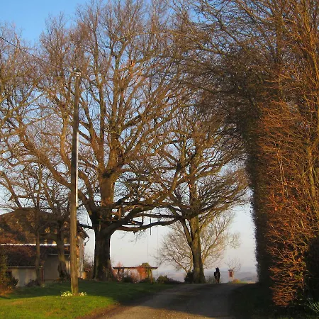 Couette-café La Ferme Du Bascou Madiere