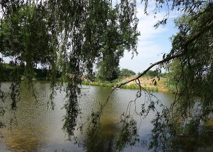 Bed & Breakfast La Ferme Du Bascou