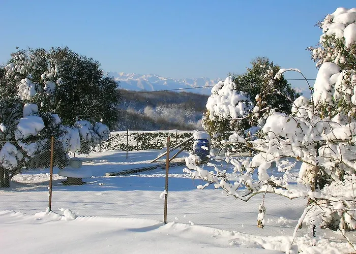 La Ferme Du Bascou Madiere