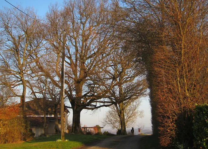 Bed & Breakfast La Ferme Du Bascou Madiere